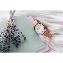 PERFECT F367-06 WOMEN'S WATCH (zp530d) + BOXZEGAREK DAMSKI PERFECT F367-06 (zp530d) + BOX