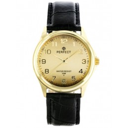 MEN'S WATCH PERFECT C425 - CLASSIC (zp284d)ZEGAREK MĘSKI PERFECT C425 - KLASYKA (zp284d)