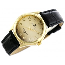 MEN'S WATCH PERFECT C425 - CLASSIC (zp284d)ZEGAREK MĘSKI PERFECT C425 - KLASYKA (zp284d)