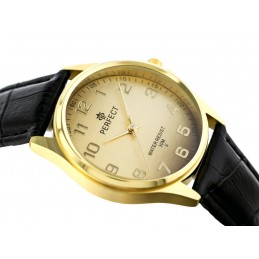 MEN'S WATCH PERFECT C425 - CLASSIC (zp284d)ZEGAREK MĘSKI PERFECT C425 - KLASYKA (zp284d)