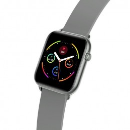 SMARTWATCH G. Rossi SW013-2 grey (sg008)SMARTWATCH Gino Rossi SW013-2 grey (zg324b)