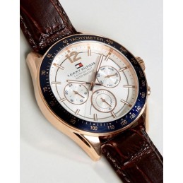 TOMMY HILFIGER MEN'S WATCH 1791118 (zf066a)ZEGAREK MĘSKI TOMMY HILFIGER 1791118 (zf066a)